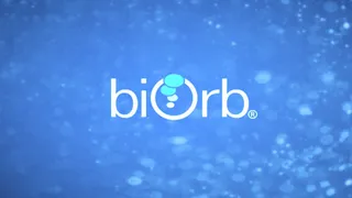 海底AE高清素材