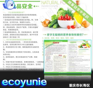 食品安全 公益宣传单图片