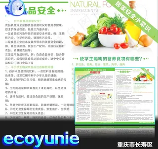 食品安全 公益宣传单图片