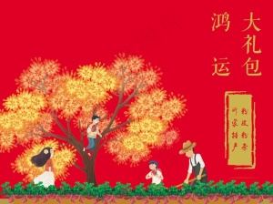 礼包