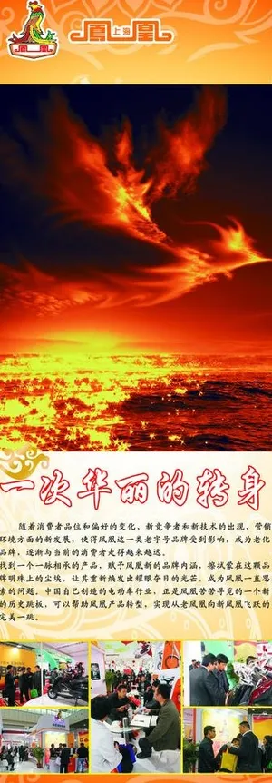 凤凰电动车(分层不精细)图片 凤凰电动车(分层不精细)图片