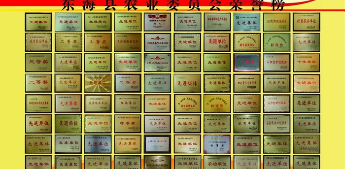 奖牌(单个图形未分层)图片(6237X3413(DPI:72))psd模版下载