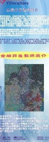 艺林文化培训中心易拉宝图片cdr矢量模版下载