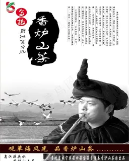 香炉山茶图片 香炉山茶图片