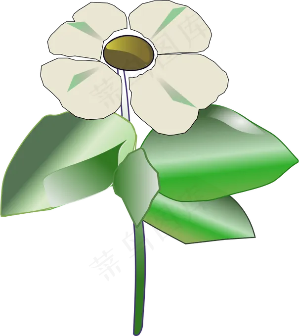 太平洋山茱萸（山茱萸藻）