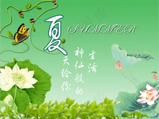 夏之荷花设计素材psd源文件