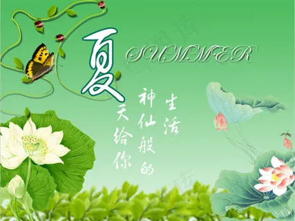 夏之荷花设计素材psd源文件 夏之荷花设计素材psd源文件