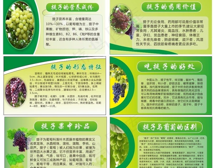 葡萄展板图片cdr矢量模版下载