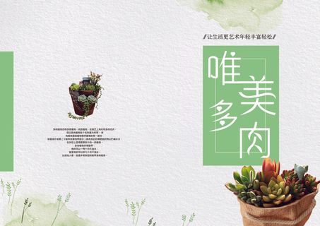 2017年唯美花店多肉植画册封面模...