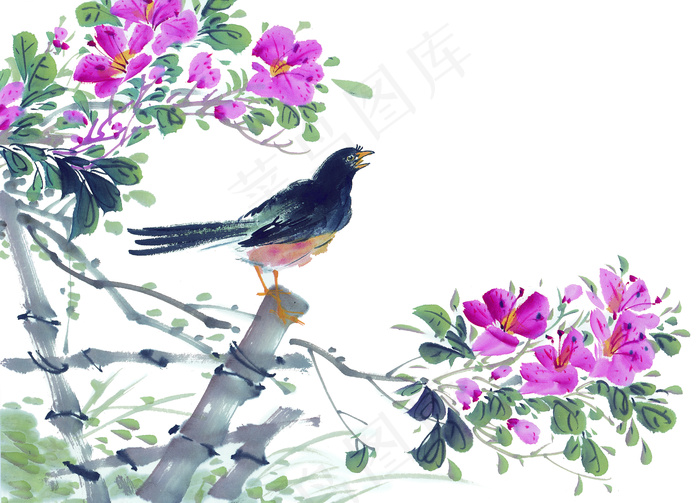 中国花鸟国画