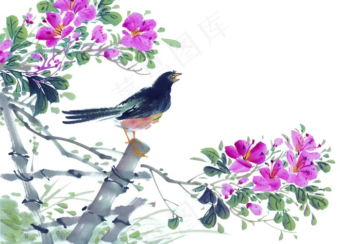 中国花鸟国画