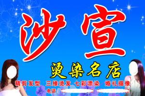 2015沙宣理发