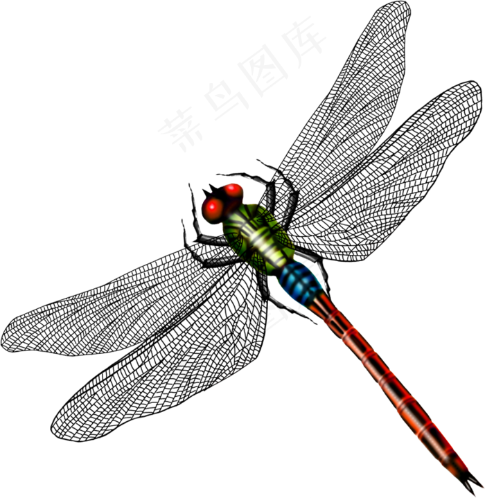 免抠png图片ps素材蜻蜓
