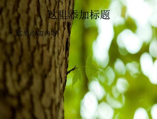 虚化背景高清风景桌面（3_18）...