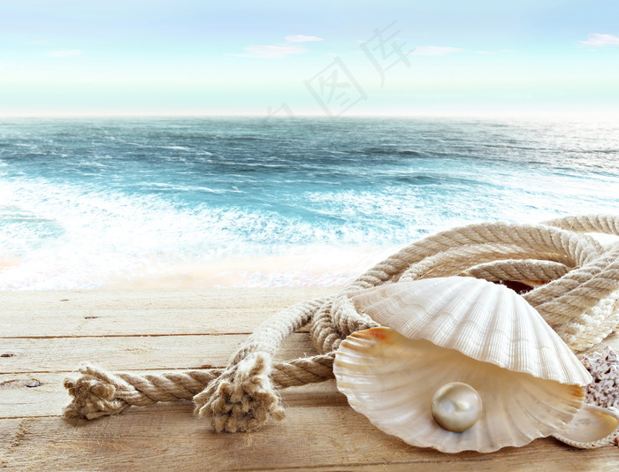 海边贝壳珍珠风景高清图片