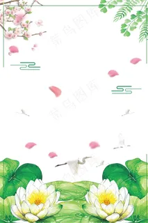 唯美花瓣白莲夏至背景素材