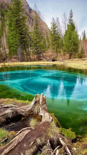 小水塘高清摄影图片