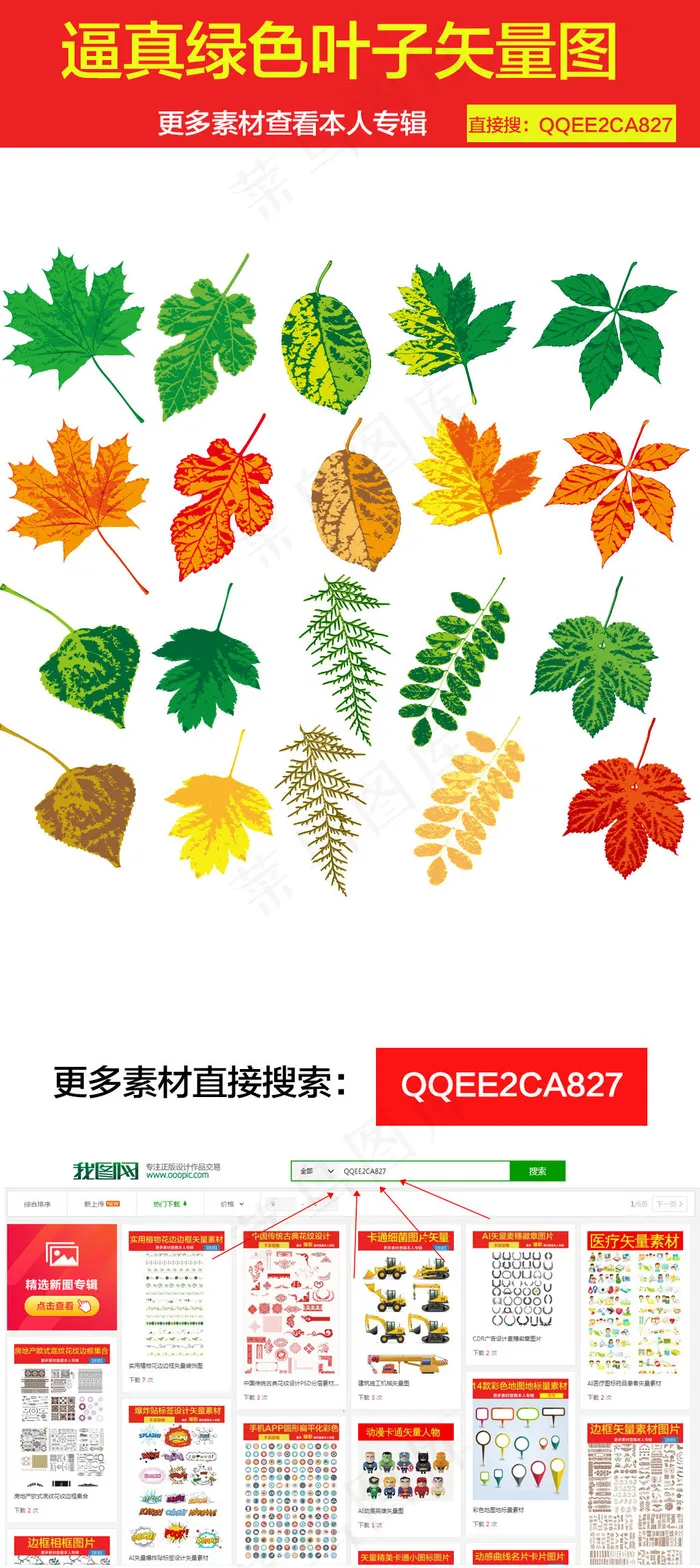 逼真绿色叶子素材矢量图ai矢量模版下载