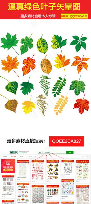 逼真绿色叶子素材矢量图