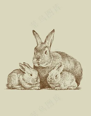 手绘动物简笔插画手绘兔子