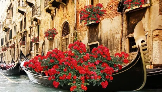 瑰丽小镇 水上城市图片