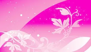 浪漫温馨玫红背景