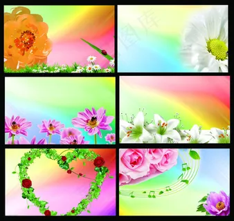 精美花纹花卉名片卡片设计PSD素材