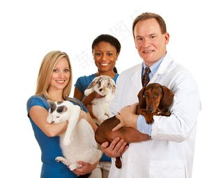 抱着宠物猫狗的兽医图片
