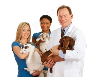 抱着宠物猫狗的兽医图片