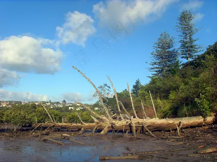 新西兰海滨风景图片