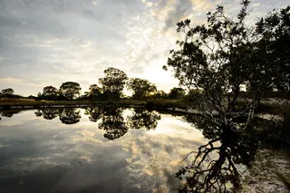 夕阳下的美丽湖泊图片