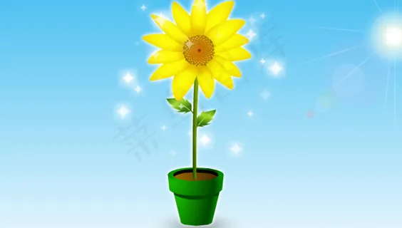 花盆里的向日葵flash