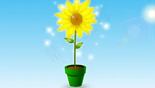 花盆里的向日葵flash