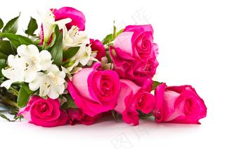 粉色玫瑰花静物设计素材
