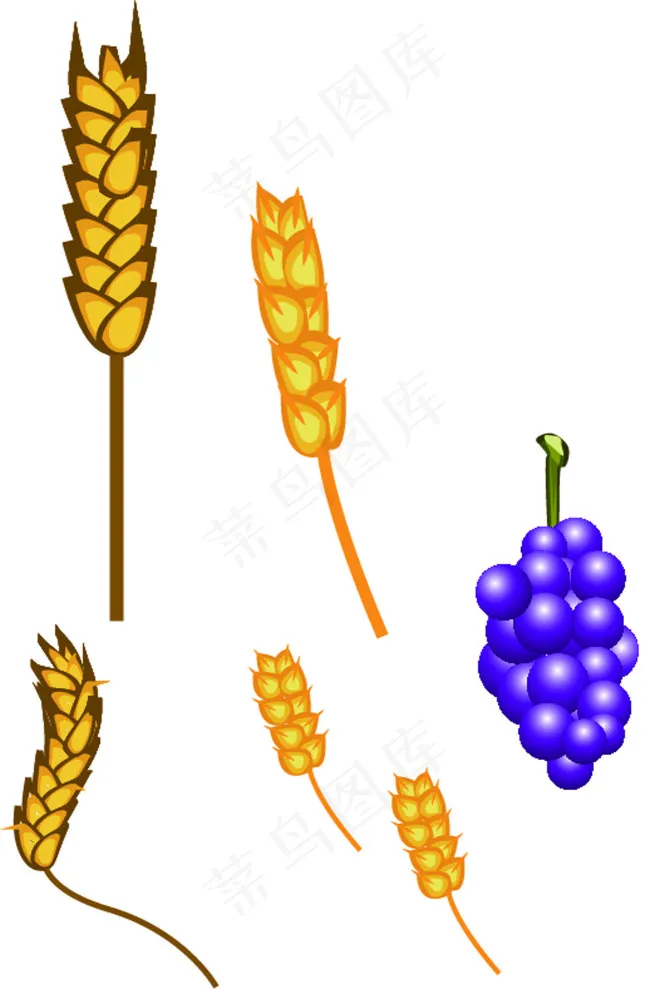 农作物ai矢量模版下载