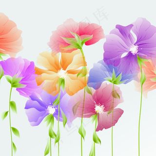 精致的春天的花朵背景矢量