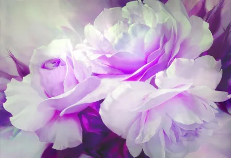 花卉无框画系列图片