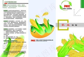 玉米农业保险彩页图片