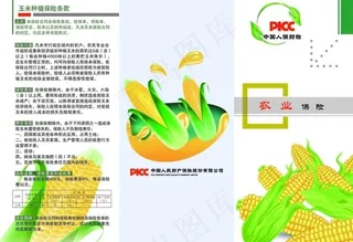 玉米农业保险彩页图片