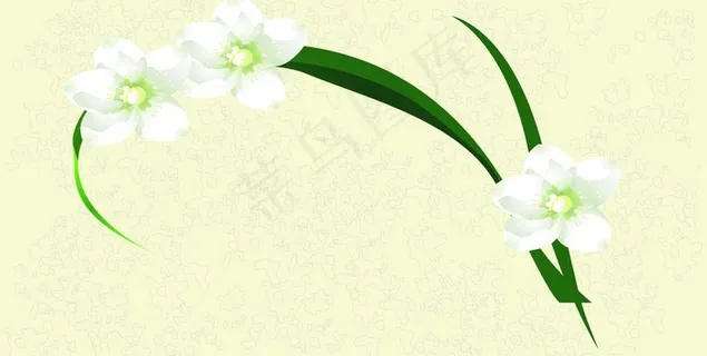 白色花朵墙纸背景图片 白色花朵墙纸背景图片