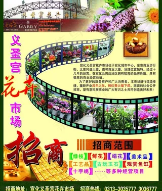 花卉 招商 胶片图片
