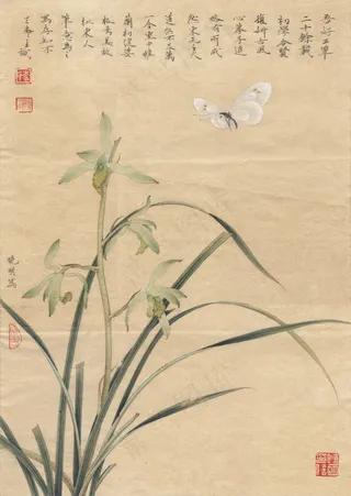 春兰嬉蝶图