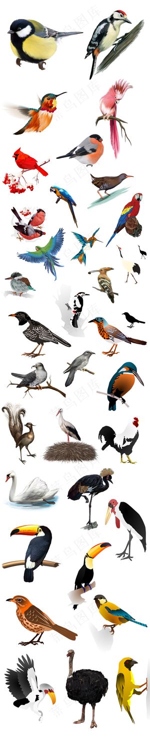 多款水彩手绘鸟类小鸟麻雀鹦鹉仙鹤矢...
