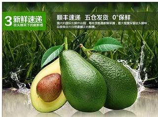 牛油果海报图片