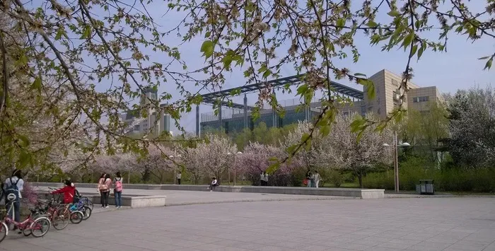 东北的春天图片