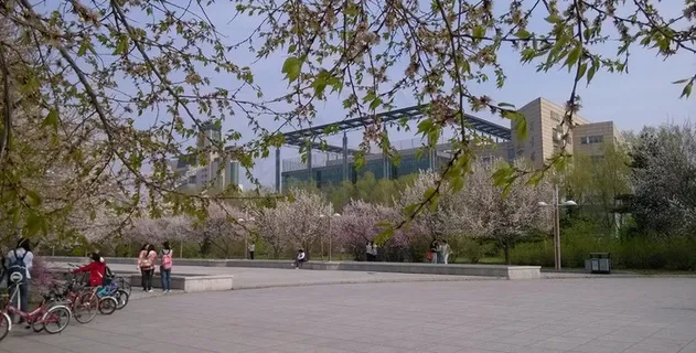 东北的春天图片 东北的春天图片