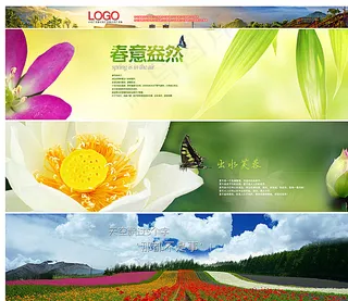 春夏花卉背景图图片