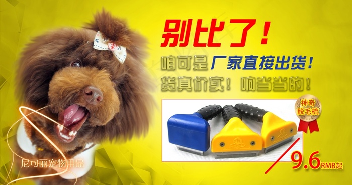 宠物海报图片psd模版下载