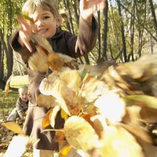 草地上玩耍的儿童图片