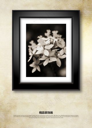 黑白花卉剪影装饰画无框画挂画
